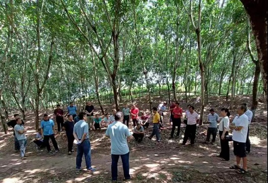皇家国际·(中国区)有限公司官网